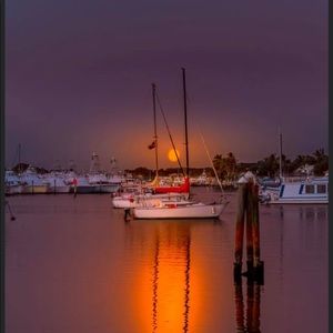 Meet your Posher, Johnny